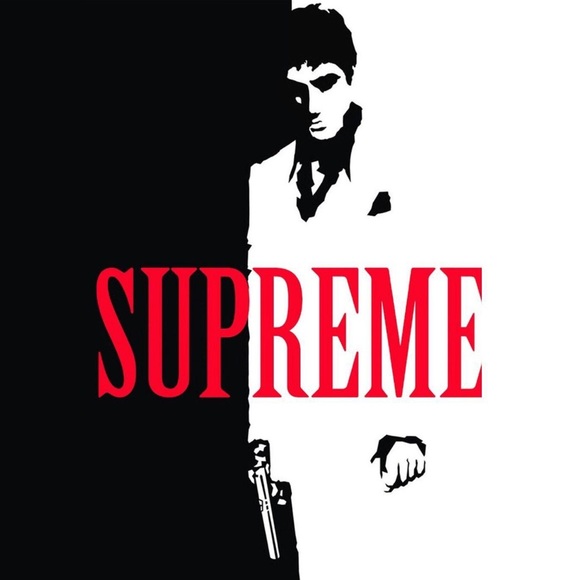 Meet your Posher, Damian - Picture 1 of 1